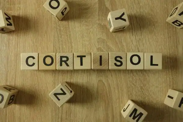 The Hidden Connection: How Stress Shapes Your Fitness and Body Composition 2 Image saying "Cortisol" and how stress Bognor Regis impacts your wellbeing and bodies shape